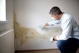 Environmental Consulting for Mold Prevention in Stockton, CA